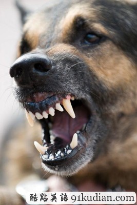 趣圖妙語:現(xiàn)實版《死神來了》(2)