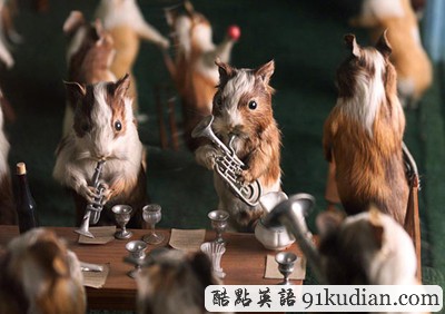 趣圖妙語(yǔ):美麗的動(dòng)物標(biāo)本