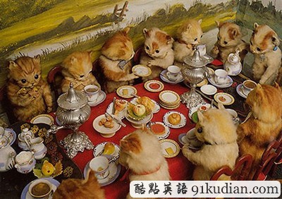 趣圖妙語(yǔ):美麗的動(dòng)物標(biāo)本