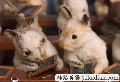 趣圖妙語:美麗的動物標(biāo)本