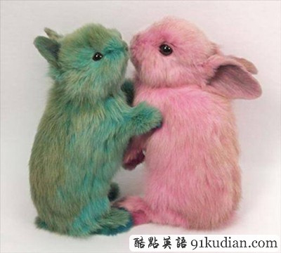 趣圖妙語:美麗的動物標(biāo)本