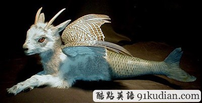 趣圖妙語:美麗的動物標本