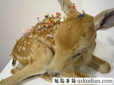 趣圖妙語(yǔ):美麗的動(dòng)物標(biāo)本