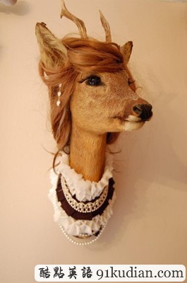 趣圖妙語:美麗的動物標本