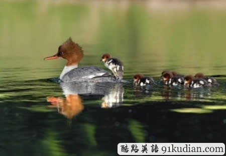 大千世界，無&ldquo;懶&rdquo;不有