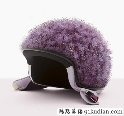 趣圖妙語:美味的時(shí)尚配飾