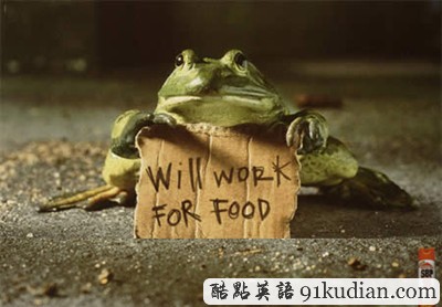 趣圖妙語(yǔ):有趣的動(dòng)物廣告