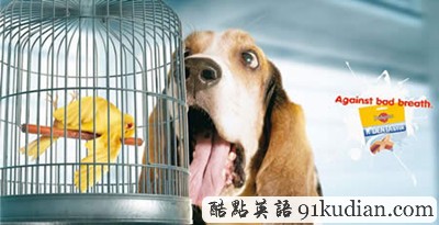 趣圖妙語:有趣的動物廣告
