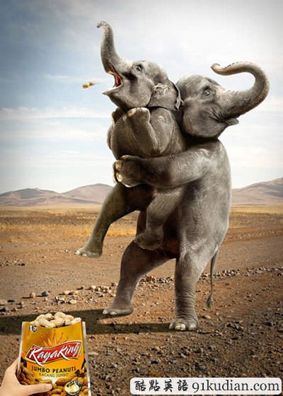 趣圖妙語:有趣的動物廣告