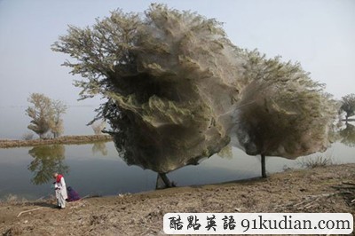 GJ地理:2011年度十佳新聞圖片(1)