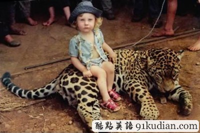 盤點(diǎn):那些震撼過我們的寵物