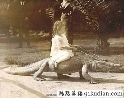 盤點(diǎn):那些震撼過我們的寵物