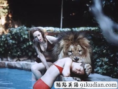 盤點:那些震撼過我們的寵物