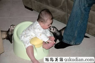 盤點(diǎn):那些震撼過我們的寵物