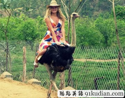 盤點(diǎn):那些震撼過我們的寵物