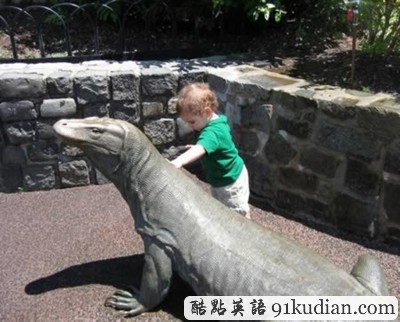 盤點:那些震撼過我們的寵物