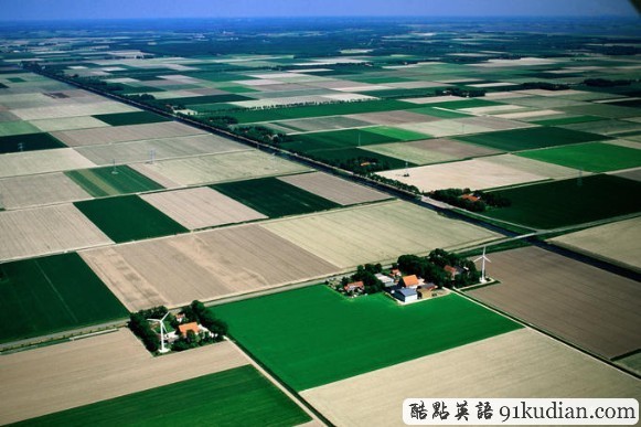 荷蘭之旅:美麗的"郁金香王國