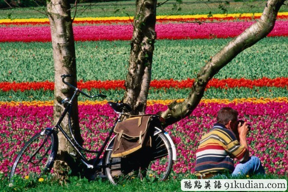 荷蘭之旅:美麗的"郁金香王國