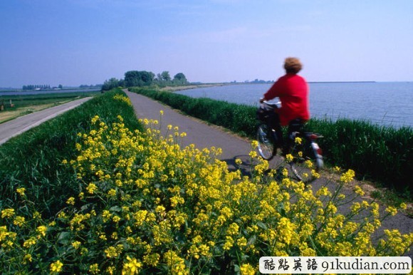 荷蘭之旅:美麗的"郁金香王國