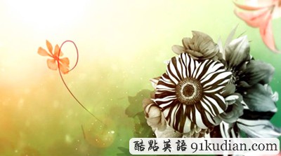 趣圖妙語:視覺藝術(shù)四季 seasons