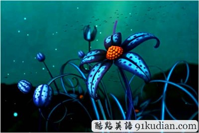 趣圖妙語:視覺藝術(shù)四季 seasons