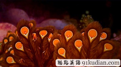 趣圖妙語:視覺藝術四季 seasons