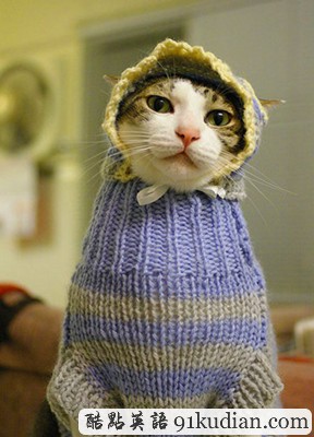 趣圖妙語:動物萌物語之我們愛穿衣