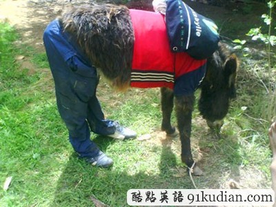 趣圖妙語:動物萌物語之我們愛穿衣