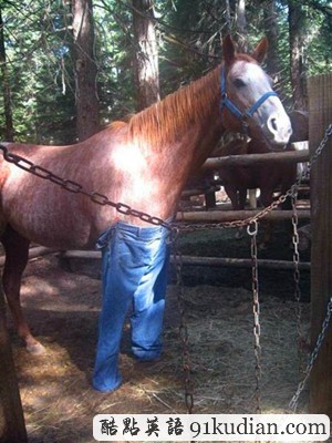 趣圖妙語:動物萌物語之我們愛穿衣