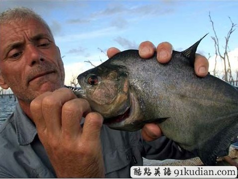 美國現食人魚專咬男性命根 生性兇殘