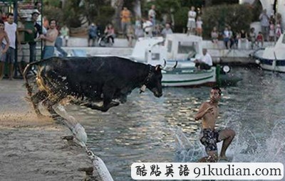 趣圖妙語(yǔ):動(dòng)物們的萌翻瞬間~