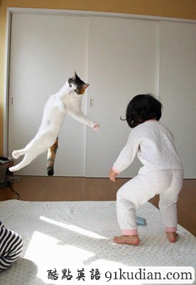 趣圖妙語:動物們的萌翻瞬間~