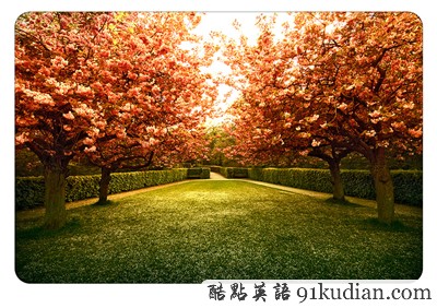 三十張令人驚嘆的對(duì)稱(chēng)攝影圖片(下)