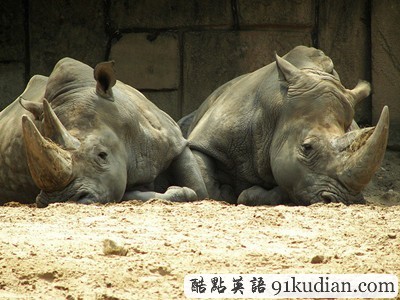 三十張令人驚嘆的對(duì)稱攝影圖片(下)
