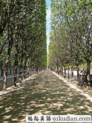 三十張令人驚嘆的對稱攝影圖片(下)