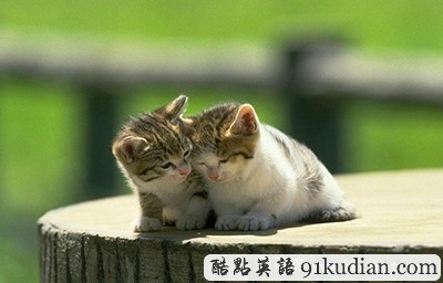 狗血?jiǎng)∏檎鎸?shí)上演:未婚夫妻竟是兄妹