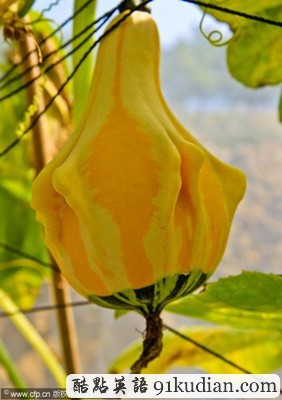 大千世界:科學(xué)培育