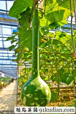 大千世界:科學(xué)培育