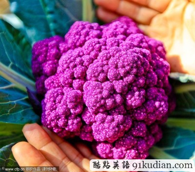 大千世界:科學(xué)培育