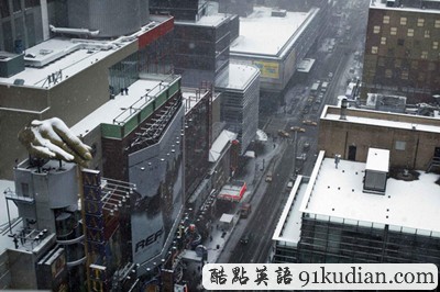 趣圖妙語:2012年紐約的第一場大雪