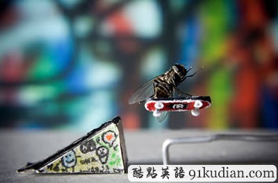 沒有photoshop,只有巧合和設(shè)計(下)