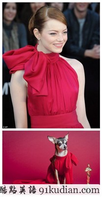 奧斯卡紅毯模仿秀 寵物狗狗爭(zhēng)奇斗艷