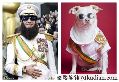 奧斯卡紅毯模仿秀 寵物狗狗爭(zhēng)奇斗艷