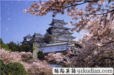 亂花漸欲迷人眼:盤點(diǎn)全球五大鮮花勝地