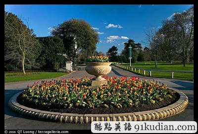 亂花漸欲迷人眼:盤(pán)點(diǎn)全球五大鮮花勝地