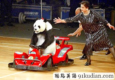 趣圖妙語:動(dòng)物版本看圖說話(下)