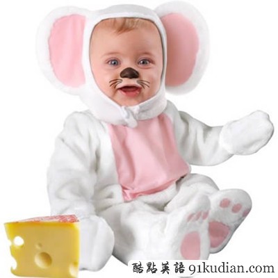 地球人已經(jīng)無(wú)法阻止他們賣萌了!