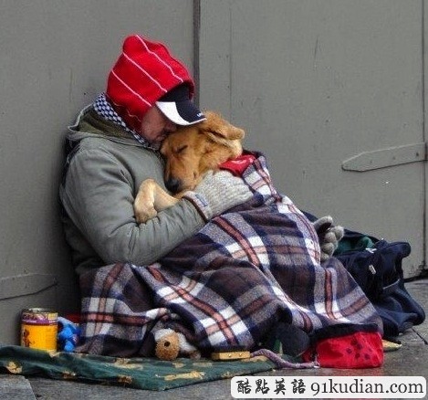 趣圖妙語:動物用行動告訴人類友誼的真正含義