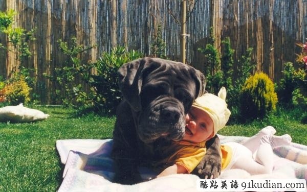 趣圖妙語(yǔ):動(dòng)物用行動(dòng)告訴人類友誼的真正含義