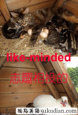 看圖學(xué)英文:動(dòng)物世界的那些事兒